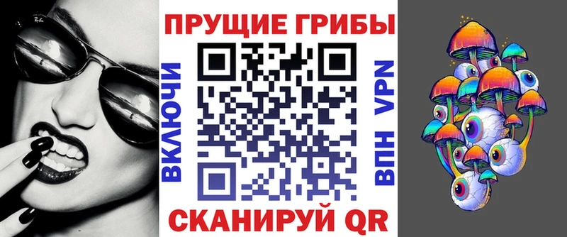 Псилоцибиновые грибы Magic Shrooms  mega вход  Куртамыш 